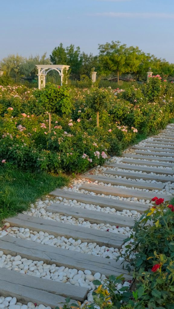 pexels hatice sahin 2154874204 33883067