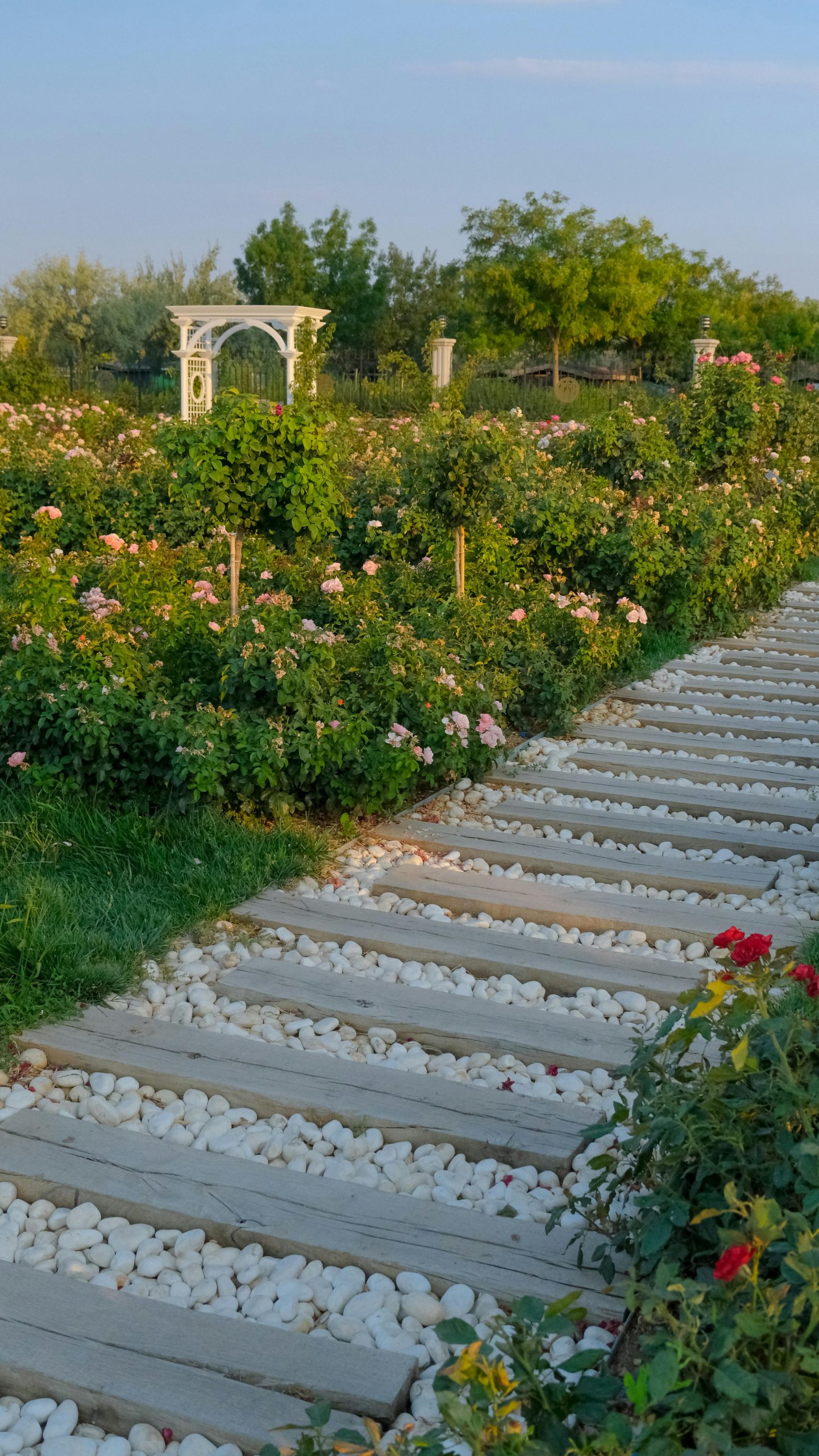 pexels hatice sahin 2154874204 33883067 pexels hatice sahin 2154874204 33883067