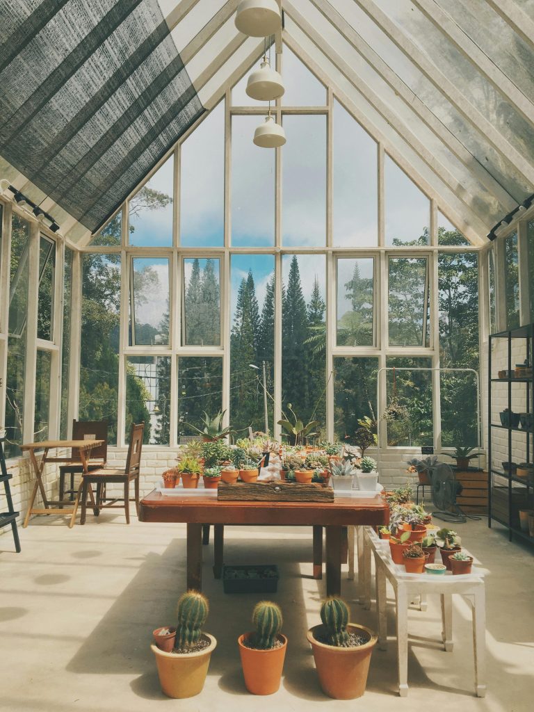 pexels kokhuah25 8629473