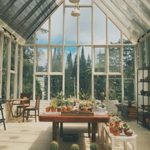 pexels kokhuah25 8629473