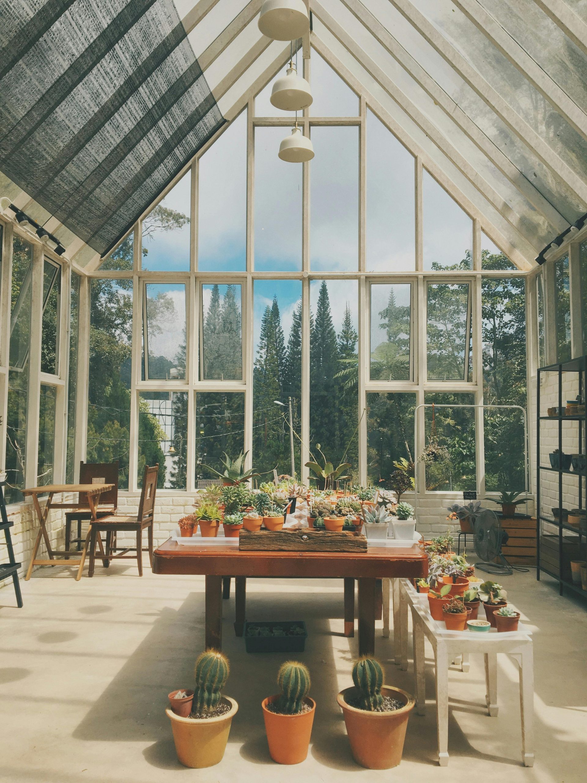 pexels kokhuah25 8629473 pexels kokhuah25 8629473